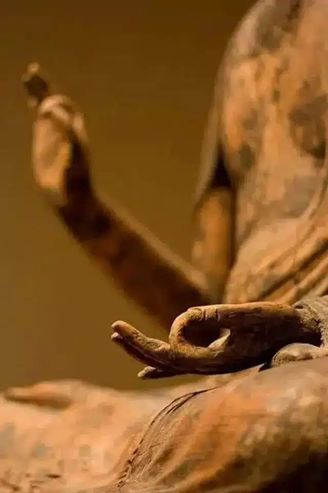 The Beauty of Buddha's Hand: Chinese Buddha's Hand Statue 8 3834236f986e4046b8e3879745b357a5