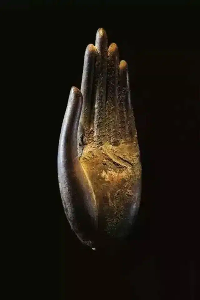 The Beauty of Buddha's Hand: Chinese Buddha's Hand Statue 7 802896b8c6654c62a5900bb2cf2deaeb