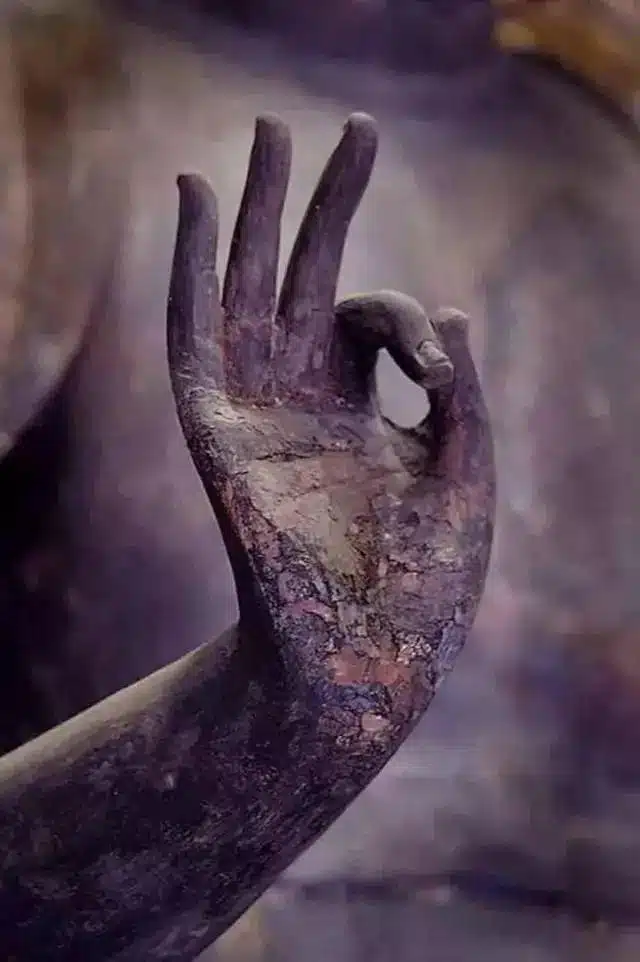 The Beauty of Buddha's Hand: Chinese Buddha's Hand Statue 10 b6abf55a60674b67a2859b56a2111f96 1