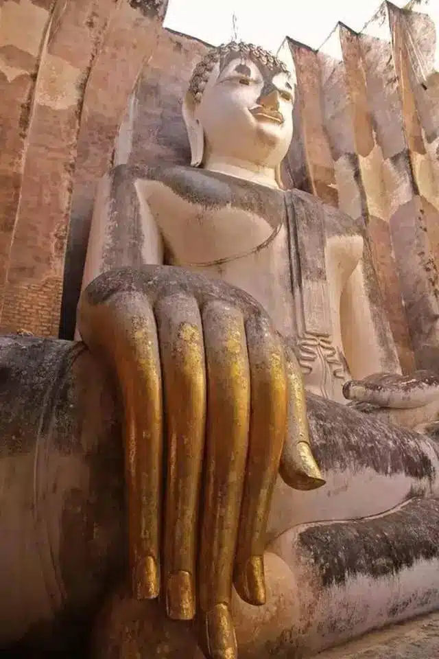 The Beauty of Buddha's Hand: Chinese Buddha's Hand Statue 13 f1ee01f0391846ed915de78bc65f9fc4